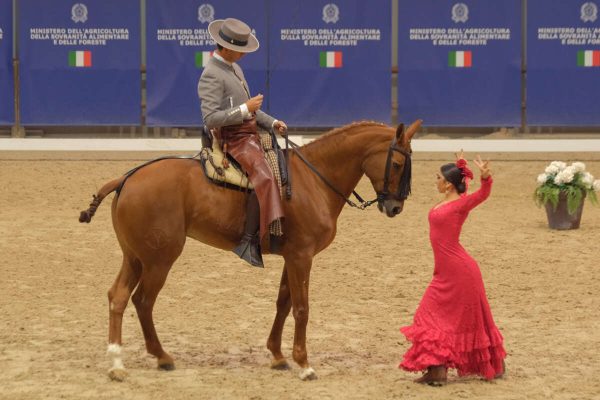 FIERACAVALLI EVENTO CLOU A VERONA